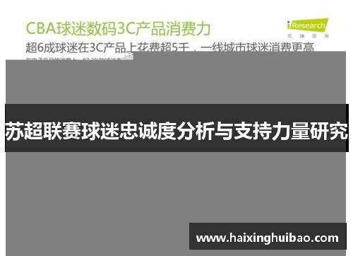 苏超联赛球迷忠诚度分析与支持力量研究